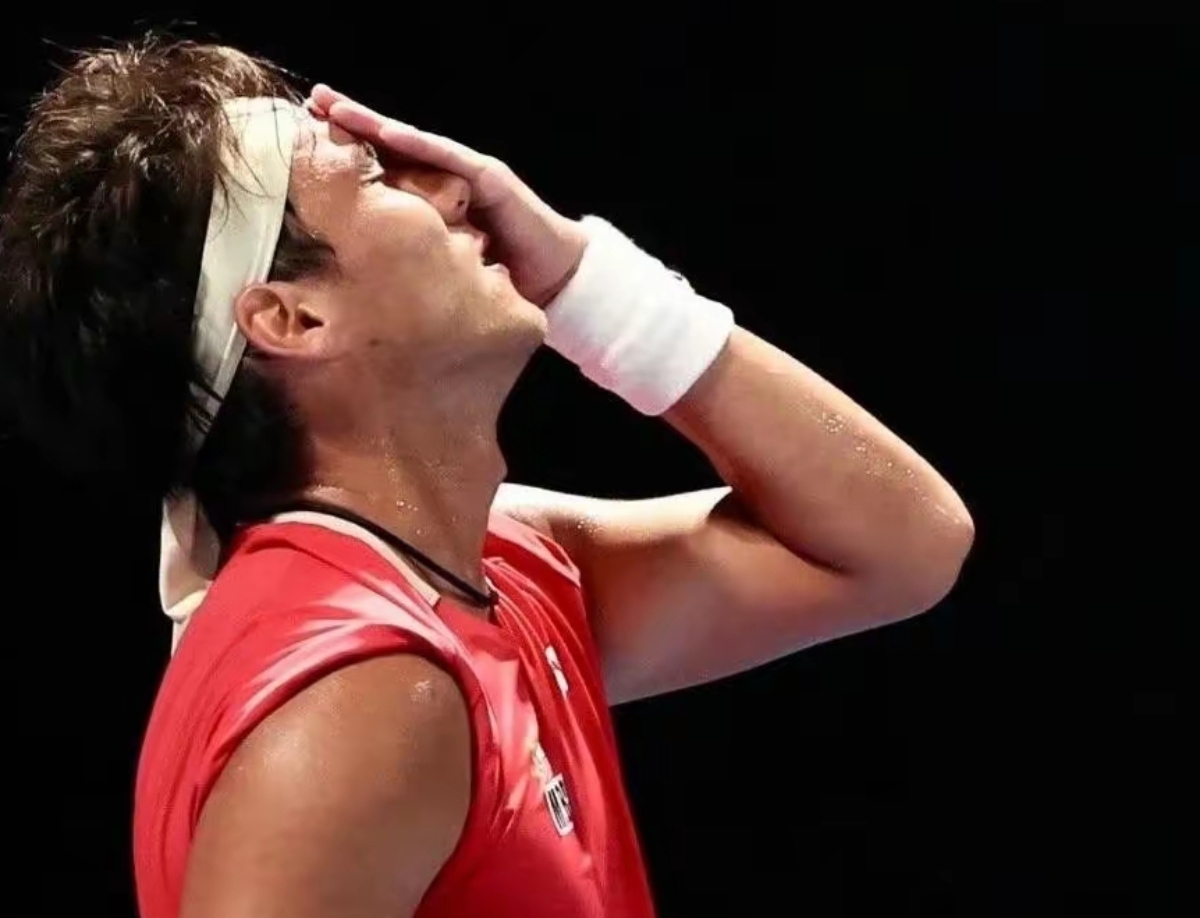 开云体育官网-中国乒乓球队绝地反击波兰乒乓球队，波尔高光表现的简单介绍